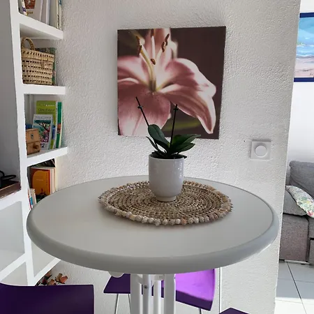 Les 2 Freres - Vue Panoramique Solarium - Les Sablettes Apartment Saint-Mandrier-sur-Mer
